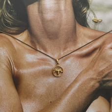 Load image into Gallery viewer, Zodiac Aries Necklace Gold 