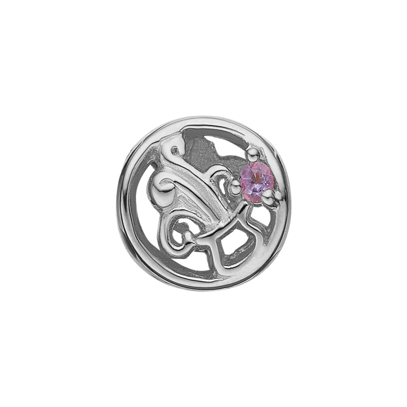 Zodiac Aquarius Bead Charm, Hand Crafted in 925 Sterling Silver finished with either Rhoduim Plating or 18kt Gold and further embellished with One Purple Amethyst gemstone