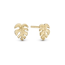 Load image into Gallery viewer, Fern Leaf Studs handcrafted in Sterling Silver and finished with an 18 Gold plating