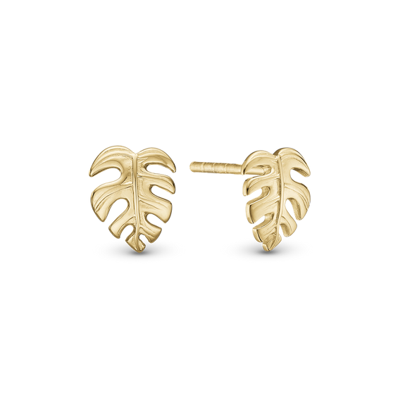 Fern Leaf Studs handcrafted in Sterling Silver and finished with an 18 Gold plating