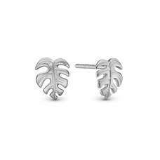 Load image into Gallery viewer, Fern Leaf Studs handcrafted in Sterling Silver and finished with a Rhodium plating
