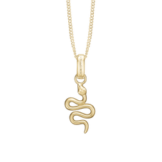 Load image into Gallery viewer, Snake Pendant with Necklace handcrafted in Silver and finished with an 18ct Gold Finish.On its own or with a Necklaces.