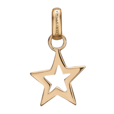 Load image into Gallery viewer, Star Pendant Gold 