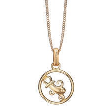 Load image into Gallery viewer, Zodiac Aquarius Necklace Gold 