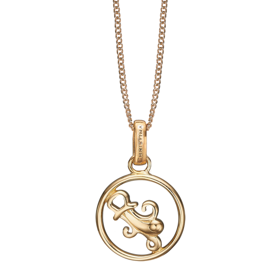 Zodiac Aquarius Necklace Gold 
