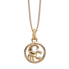 Load image into Gallery viewer, Zodiac Scorpio Necklace Gold 