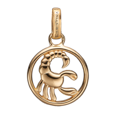 Load image into Gallery viewer, Zodiac Scorpio Pendant Gold 