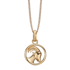 Load image into Gallery viewer, Zodiac Capricorn Necklace Gold 