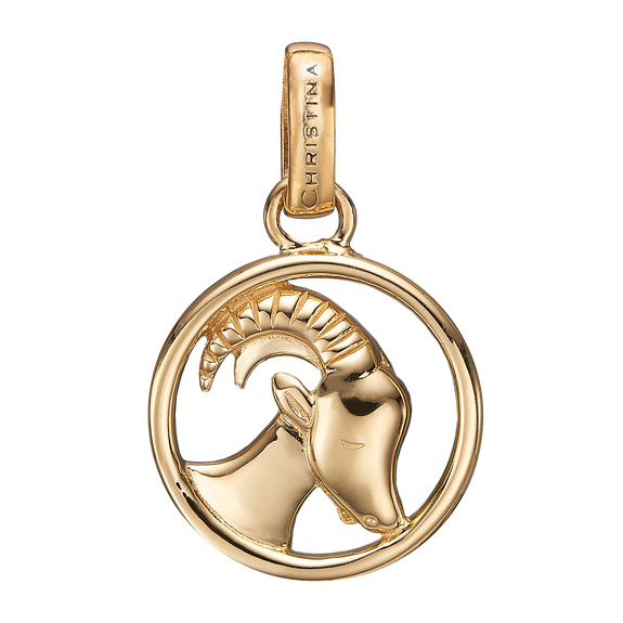 Zodiac Capricorn Pendant Gold 