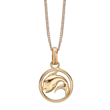 Load image into Gallery viewer, Zodiac Pisces Necklace Gold 