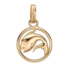 Load image into Gallery viewer, Zodiac Pisces Pendant Gold 
