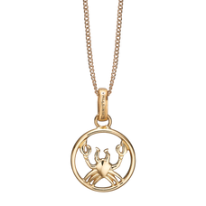 Load image into Gallery viewer, Zodiac Cancer Necklace Gold 