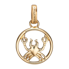 Load image into Gallery viewer, Zodiac Cancer Pendant Gold 