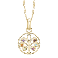Load image into Gallery viewer, Family Tree Pendant with Chain Necklace handcrafted in Sterling Silver and finished with an 18 Gold Plating. Choose the Pendant on its own or with a choice of two lengths of Necklaces. The Necklaces come in two adjustable sizes, a 55cm that can be adjusted down to 40cm and a 90cm that can be adjusted down to 70cm.