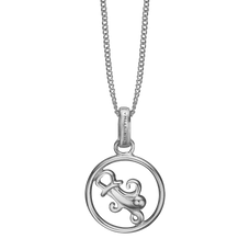 Load image into Gallery viewer, Zodiac Aquarius Necklace Silver 