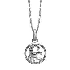 Load image into Gallery viewer, Zodiac Scorpio Necklace Silver 
