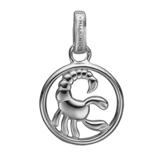 Load image into Gallery viewer, Zodiac Scorpio Pendant Silver 