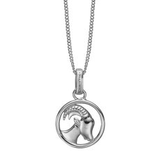 Load image into Gallery viewer, Zodiac Capricorn Necklace Silver 