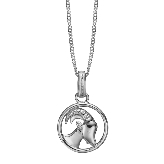 Zodiac Capricorn Necklace Silver 