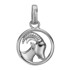 Load image into Gallery viewer, Zodiac Capricorn Pendant Silver 