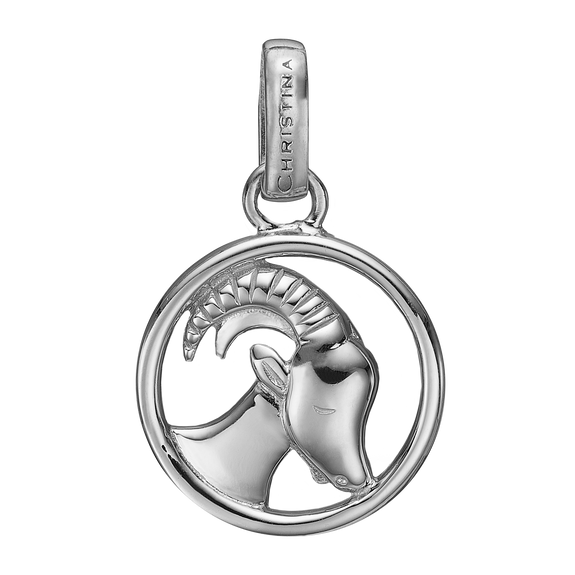 Zodiac Capricorn Pendant Silver 