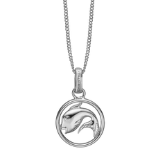 Load image into Gallery viewer, Zodiac Pisces Necklace Silver 
