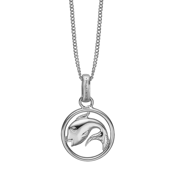 Zodiac Pisces Necklace Silver 