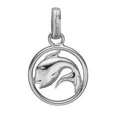 Load image into Gallery viewer, Zodiac Pisces Pendant Silver 