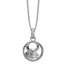 Load image into Gallery viewer, Zodiac Taurus Necklace Silver 