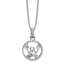 Load image into Gallery viewer, Zodiac Cancer Necklace Silver 