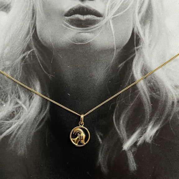 Zodiac Capricorn Necklace Gold 